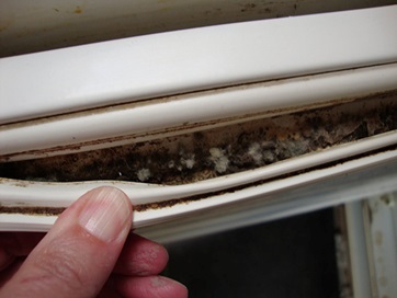 The smell in the freezer: how to clean and why it arises