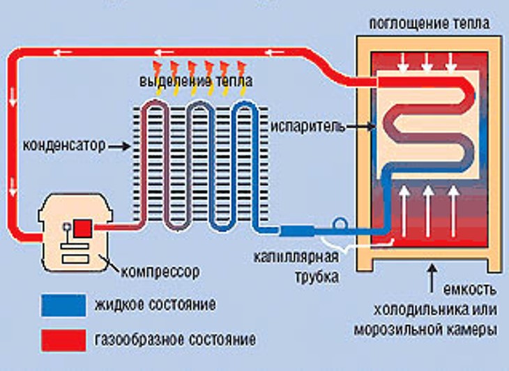 How the refrigerator works: the principle and scheme of work of refrigeration equipment of various types