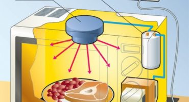 Le principe de fonctionnement du four à micro-ondes et comment choisir le bon appareil