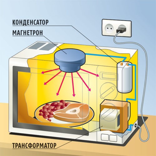 The principle of operation of the microwave oven and how to choose the right device