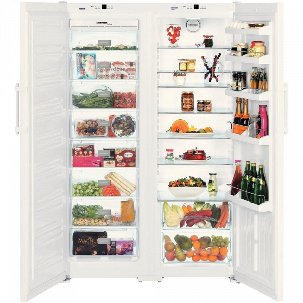 How to choose a refrigerator: expert advice and popular models with prices and specifications