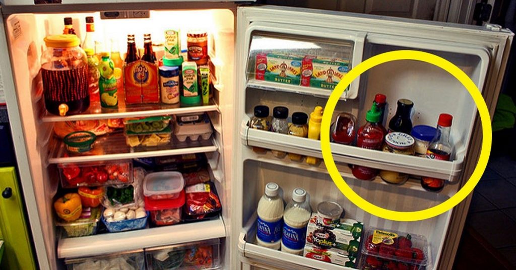 Where is the coldest place in the refrigerator - above or below?