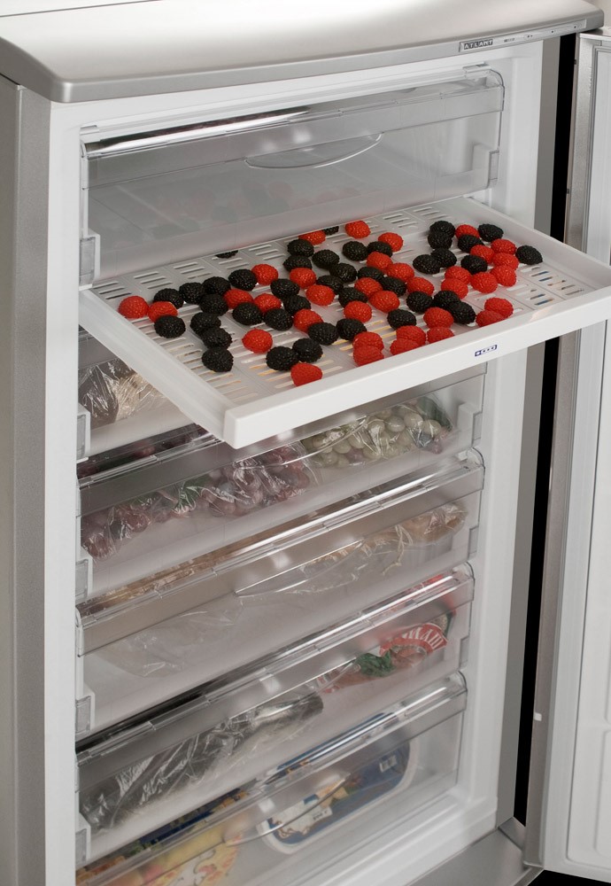 Why does the freezer squeak or click - the most common breakdowns and how to fix them