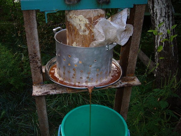 DIY odšťavňovač: potřebné díly a montážní pokyny