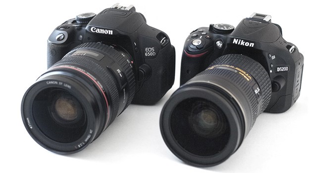 Nikon or canon: which SLR is better and how to make a choice?