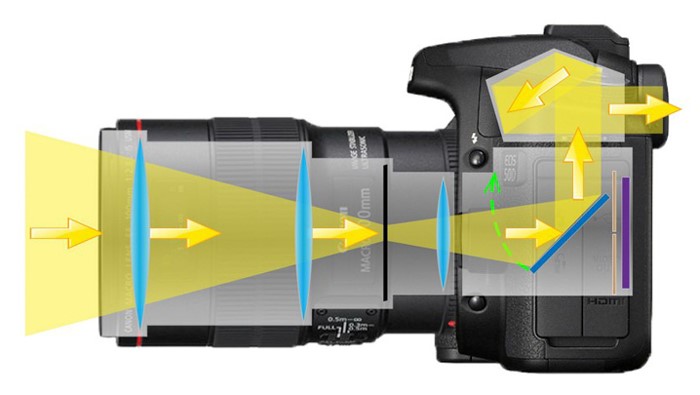 How to choose a SLR camera (DSLR)?