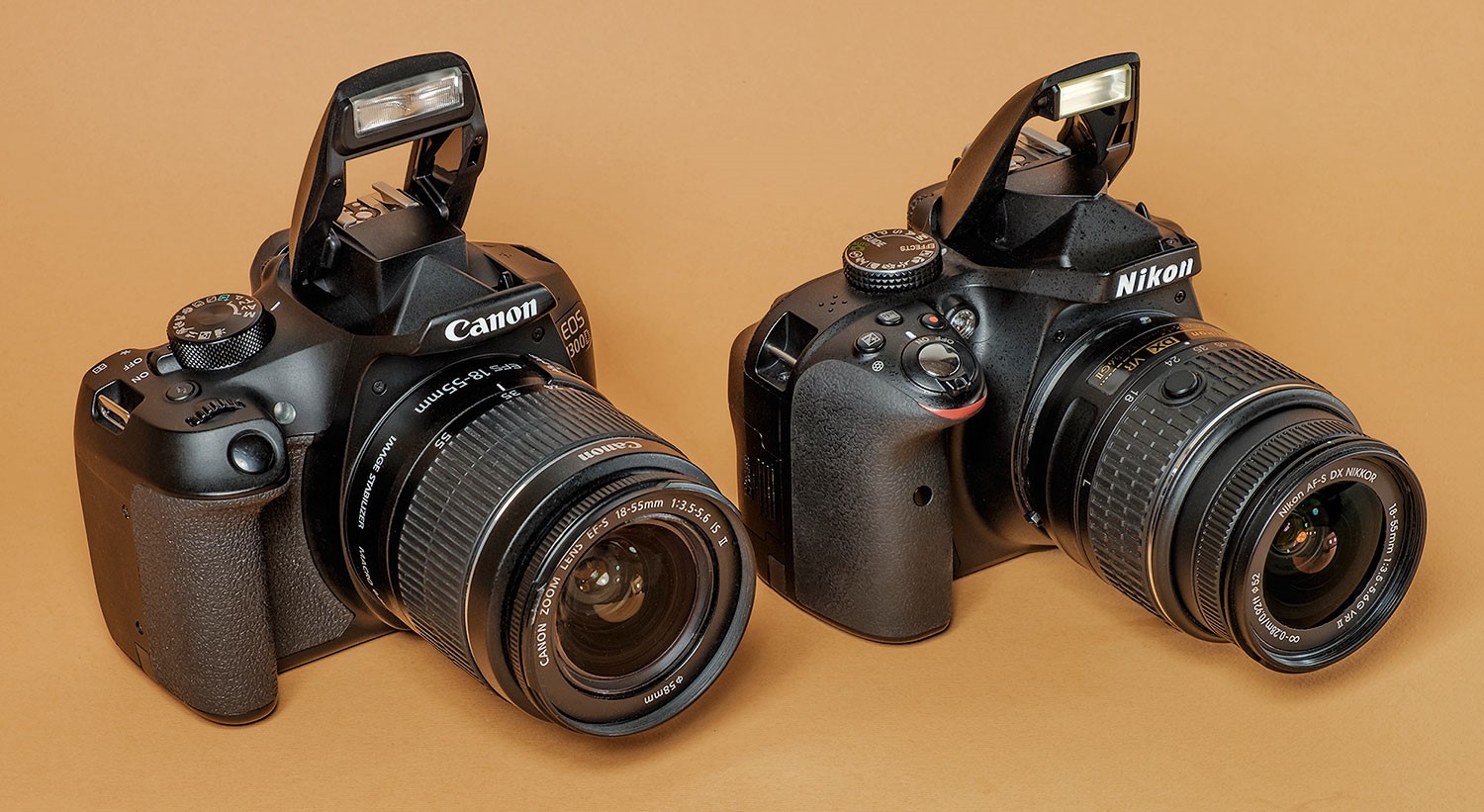 Nikon ou canon: quel reflex est le meilleur et comment faire un choix?