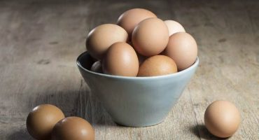 Rating of the best eggs and their varieties