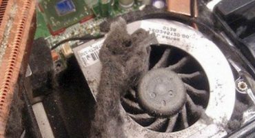 What to do if the laptop is warming up (on the left or right side), it warms up and turns off