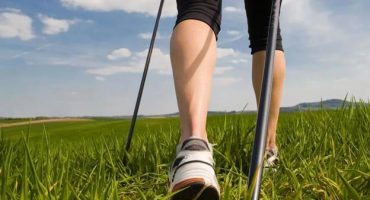 5 best Nordic walking sticks