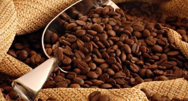 Best Grain Coffee